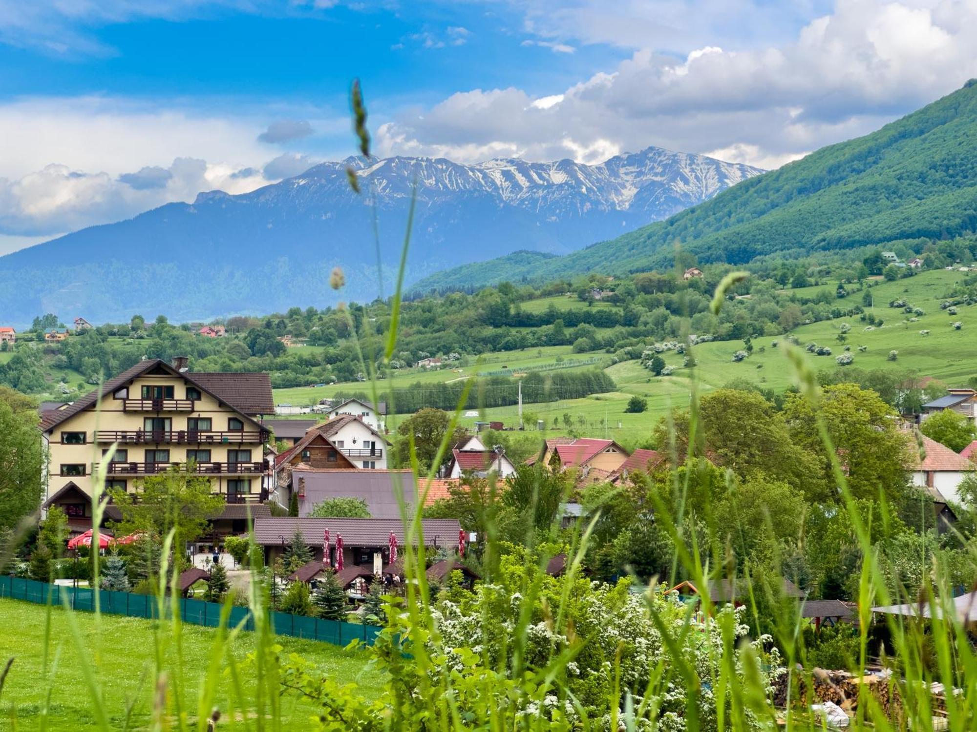 Vila Hora Cu Brazi Zărneşti Esterno foto