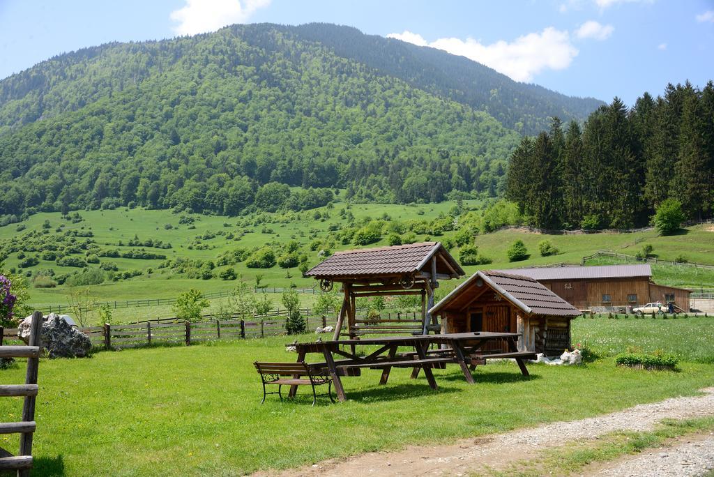 Vila Hora Cu Brazi Zărneşti Esterno foto