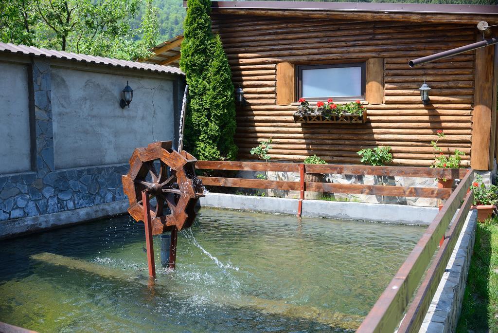 Vila Hora Cu Brazi Zărneşti Esterno foto